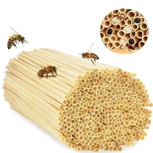Holz-Bienenstock und Honigwabenkasten, umweltfreundlich für die Imkerei