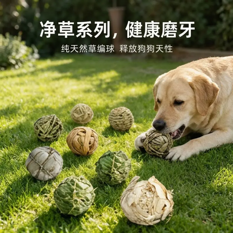 Hasır Top Köpek Oyuncağı, Koklama ve Çiğneme, Getirme Oyuncağı, İnteraktif