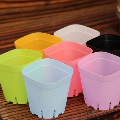 Small Square Succulent Pots with Round Top and Bottom