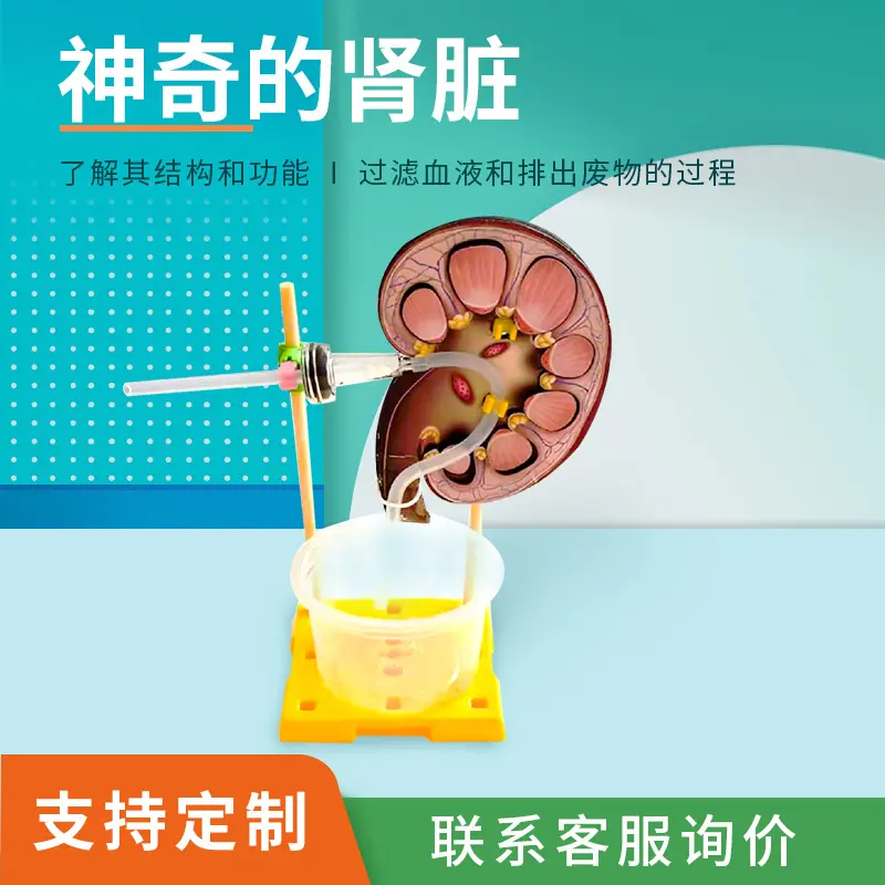 Kinder-DIY-Wissenschafts-Experimentierset mit Montagematerialien für Grundschüler