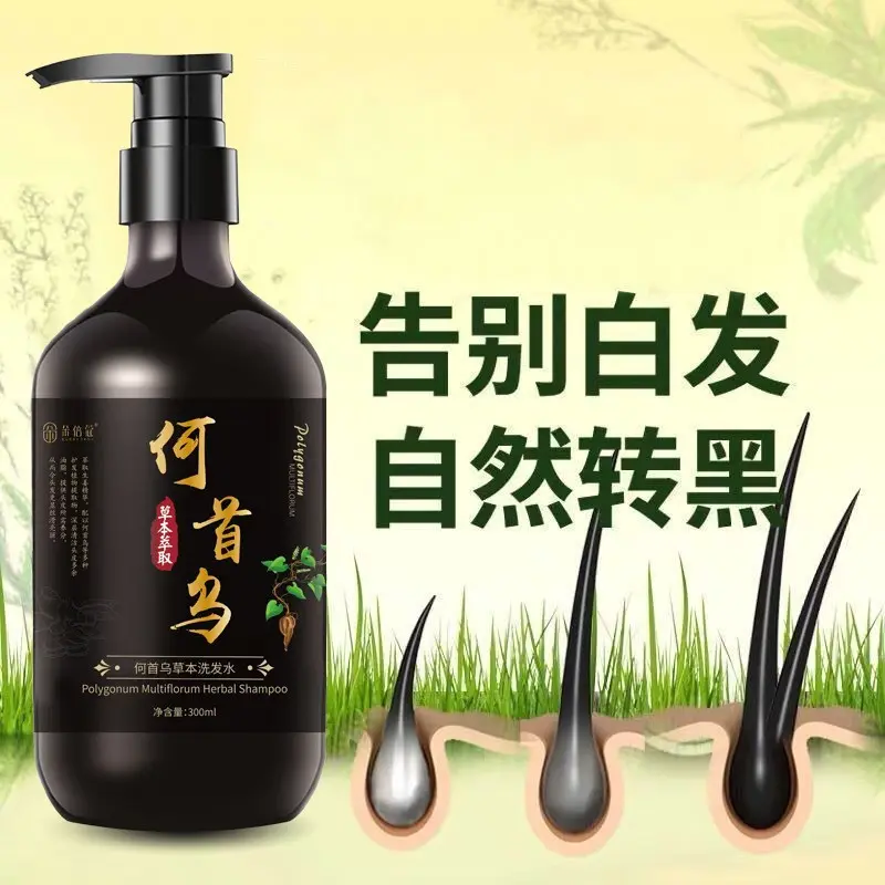 Polygonum Multiflorum Herbal Shampoo, Gray to Black Hair Reversal, Anti-Dandruff