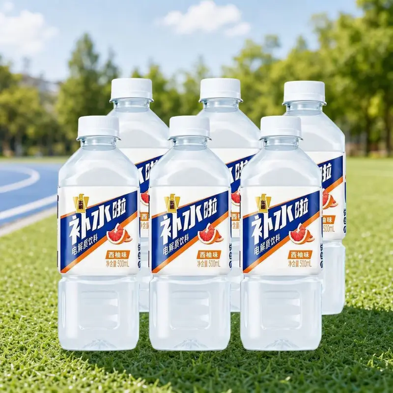 Dongpeng Electrolyte Drink Lemon Flavor 300ml x 6 Bottles