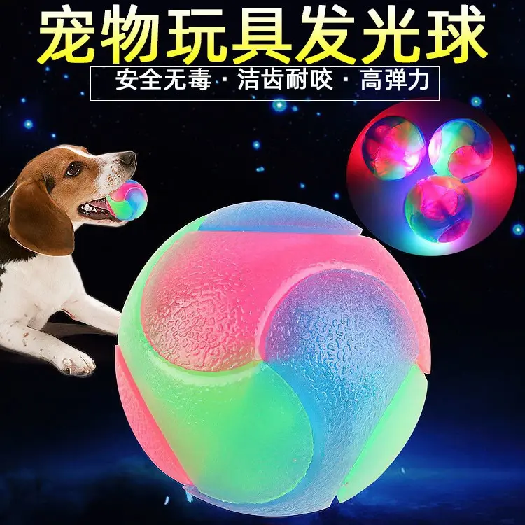 Light-Up Dog Ball Flexible Glow-in-the-Dark Interactive Toy