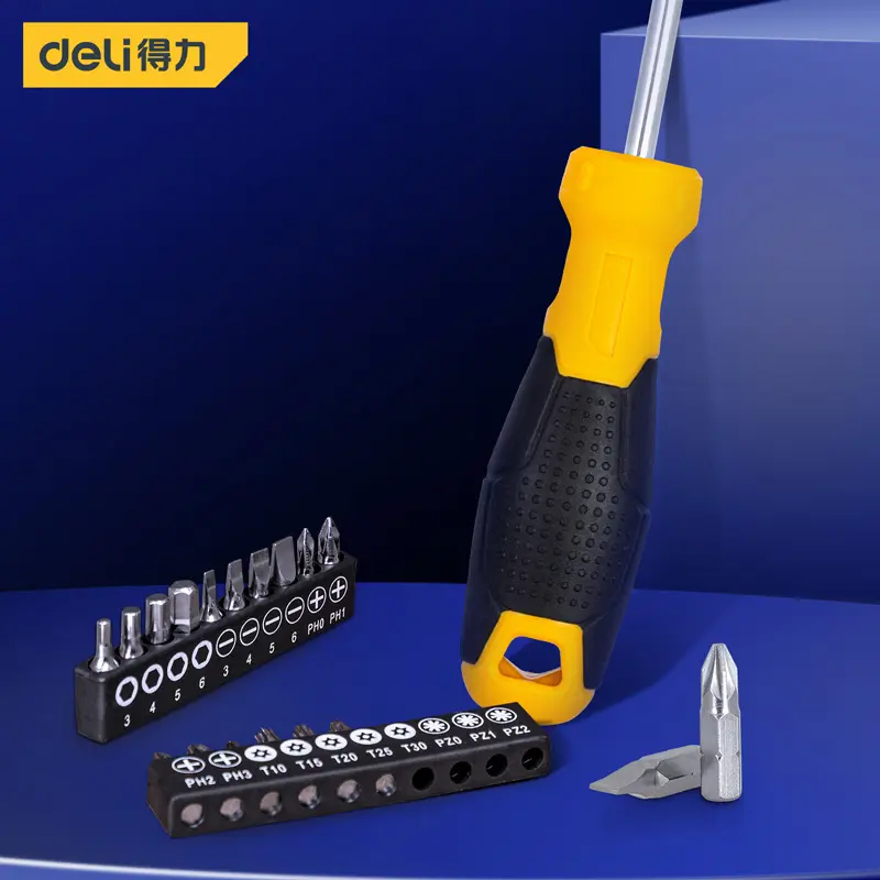 Screwdriver set 21-piece, interchangeable heads, Phillips and Torx DL260021