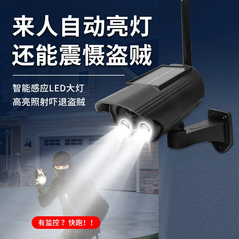 Dummy surveillance camera, solar panel, motion sensor