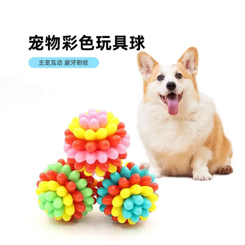 新品彩色多功能耐咬玩具球宠物啃咬互动磨牙趣味软胶狗玩具批发