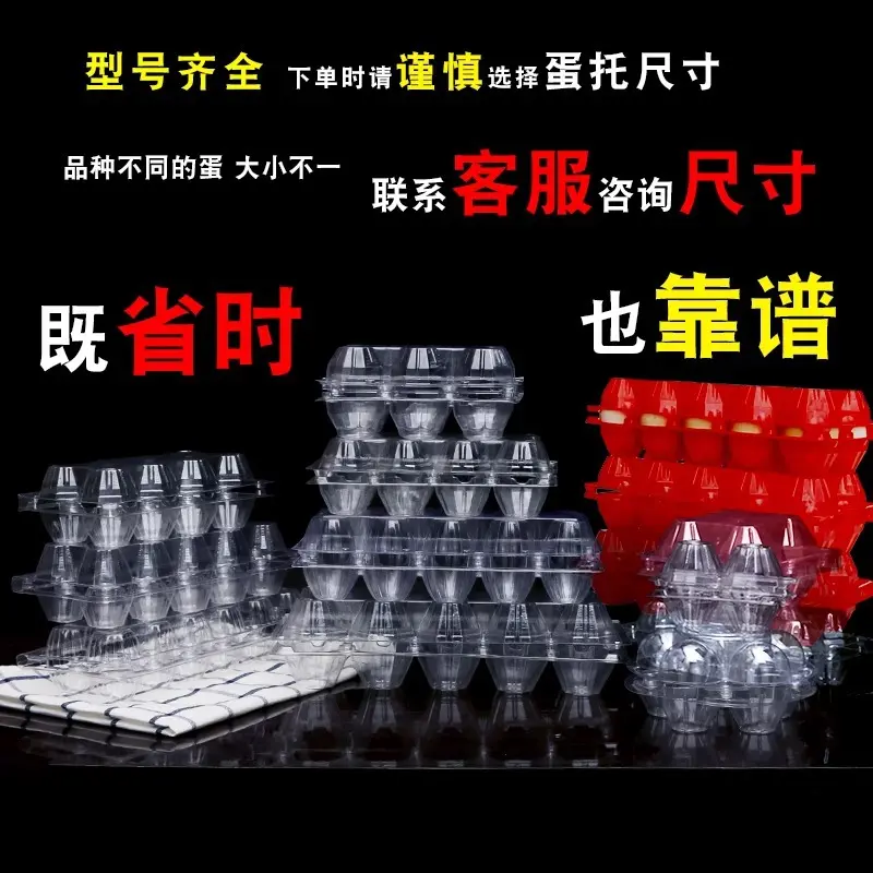 Transparent Plastic Egg Carton, Disposable, 10-Piece, for Chicken, Pigeon, Duck and Quail
