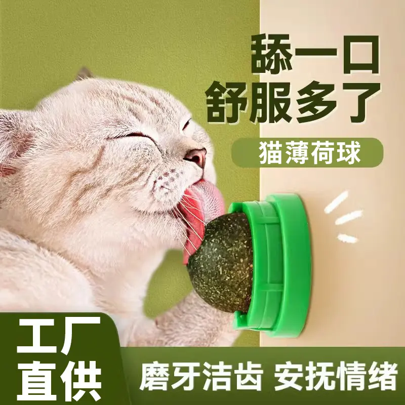 Catnip Ball Chew-Resistant Cat Toy with Teeth Grinding