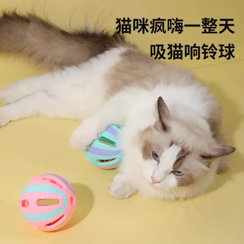 Großes Katzenspielzeug mit Glöckchen-Ball, bissfest