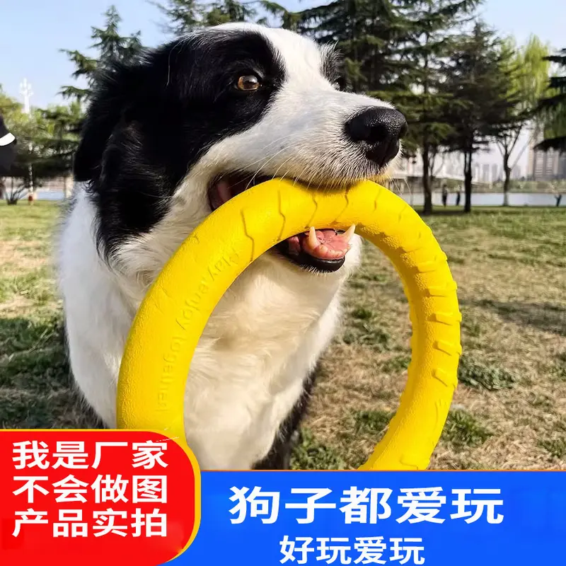 狗狗玩具大型犬互动圆环金毛拉布拉多拉环狗球磨牙耐咬狗解闷玩具