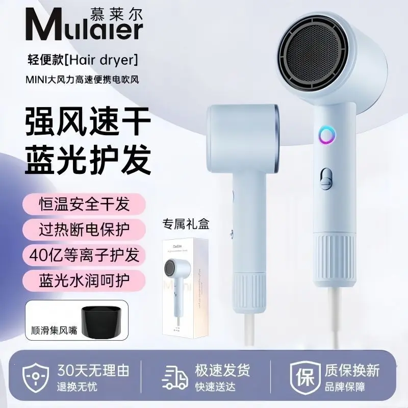 High-Power Negative Ion Hair Dryer with Hot and Cold Settings, Quiet