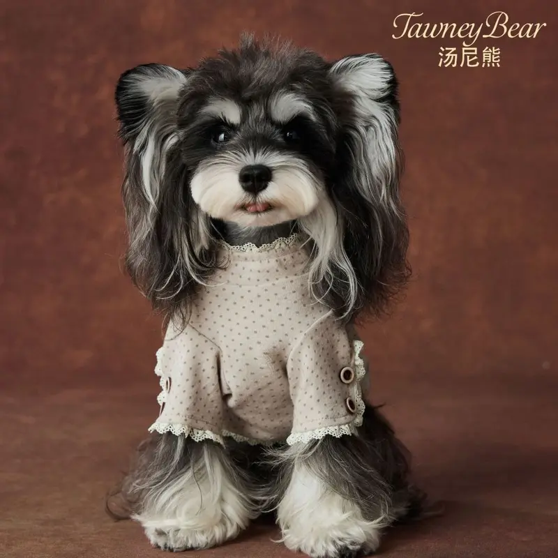 Dog Clothes Autumn Winter, Polka Dot Lace Button Base Shirt