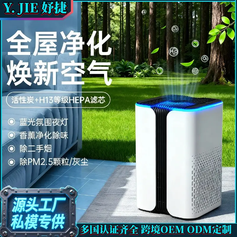 Small Negative Ion Air Purifier, PM2.5 and Formaldehyde Removal