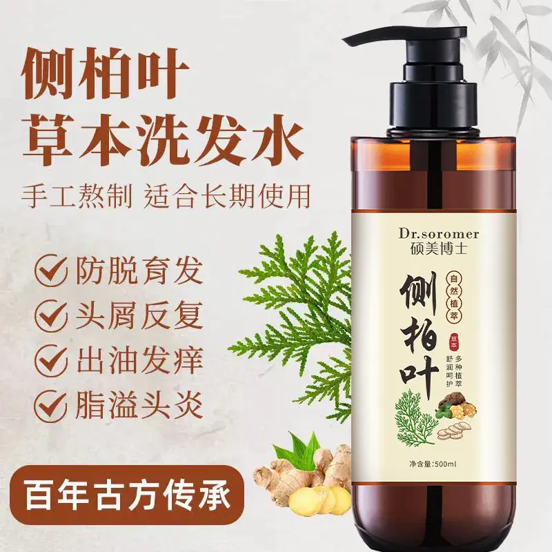 Platycladus Leaf Shampoo with Ginger, Anti-Dandruff and Anti-Itch, Herbal Hair Care