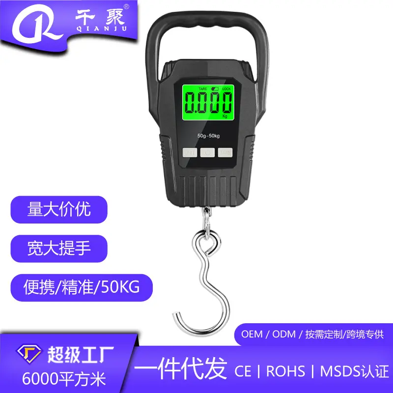 Portable Electronic Hanging Scale Luggage Express Fishing Scale Handheld Spring Scale Multifunctional Precise Digital Scale