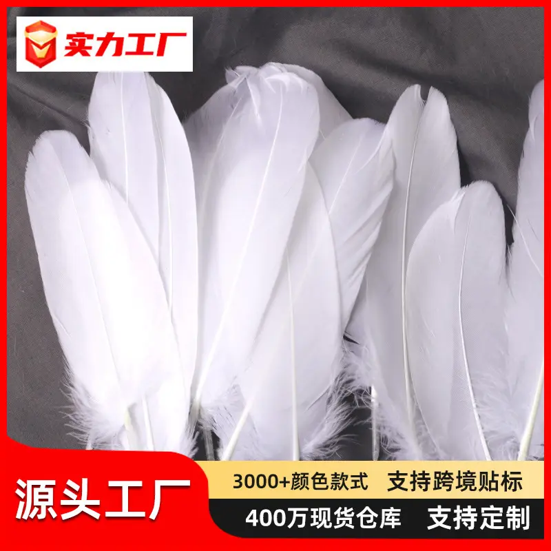 White Goose Feathers, Kindergarten Craft and DIY Jewelry Material