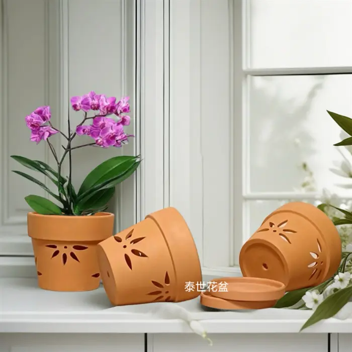 Red Clay Orchid Pot with Cutout Side Wall, Breathable, Hanging Design