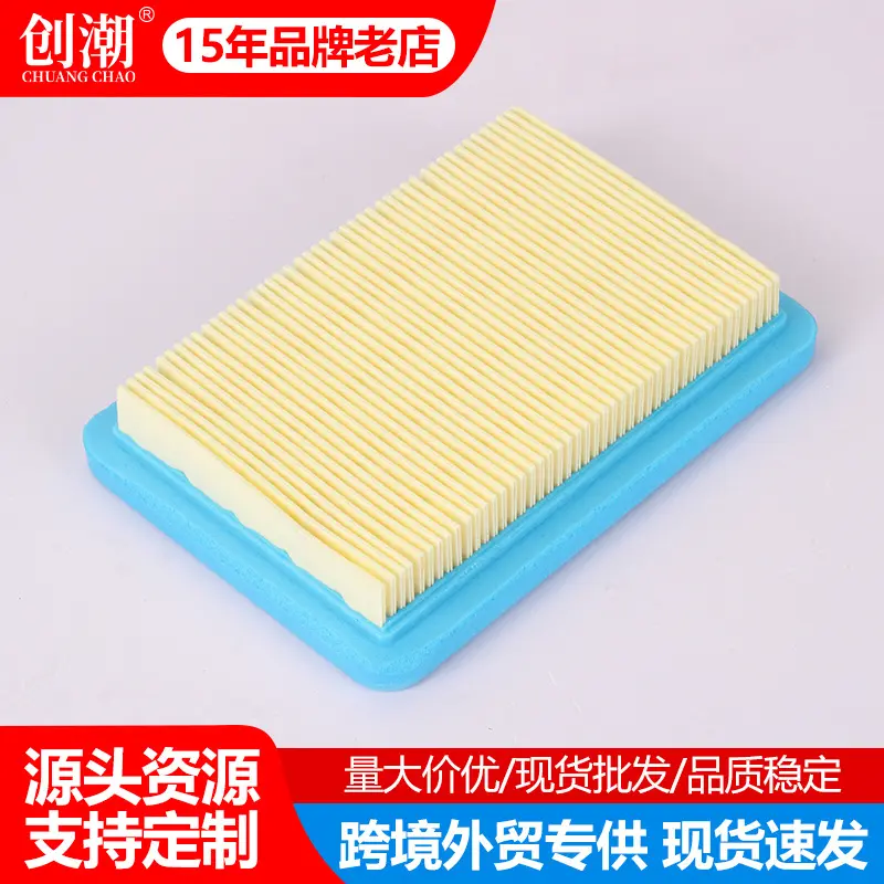 G45 Four-Stroke Gasoline Engine Air Filter with Paper Element