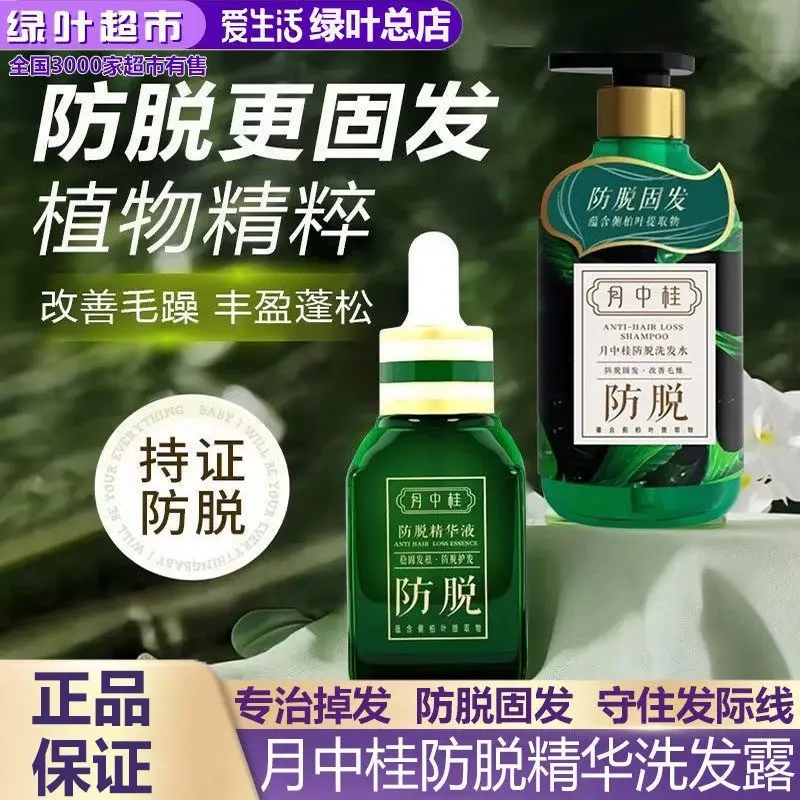Grünes Blatt Anti-Haarausfall-Essenz-Shampoo, pflanzlich, reparierend