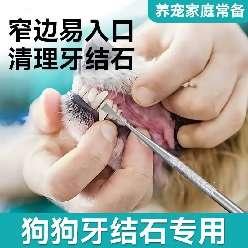 Pet Tartar Remover, Hoe-Shaped Dental Scraper