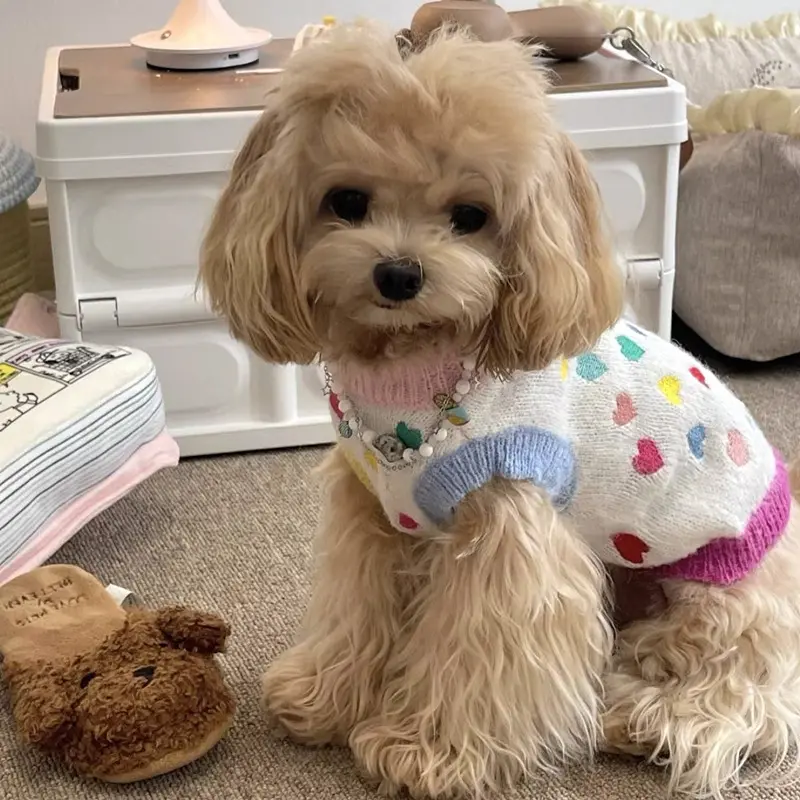 Knitted Dog Sweater for Small Breeds, Autumn and Winter Pet Clothes